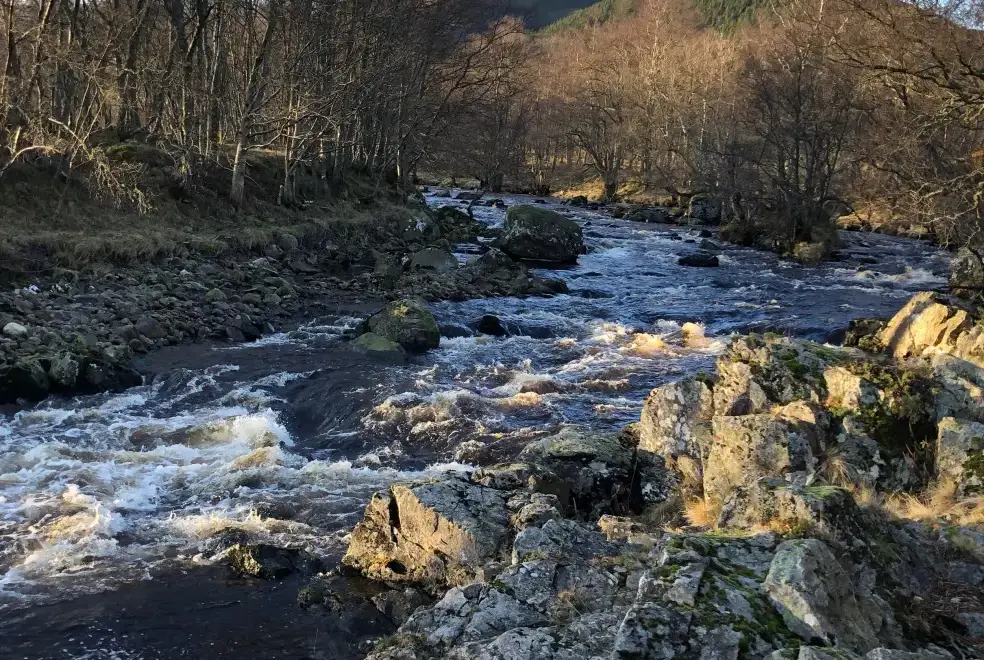 Countryside near Woodside House