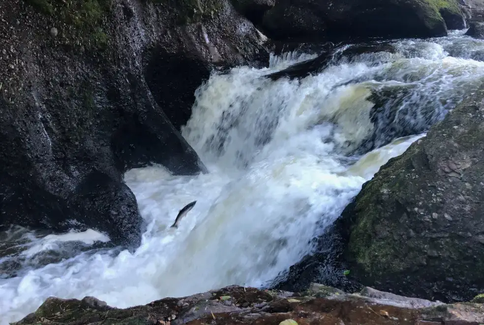 National landscape near Woodside House