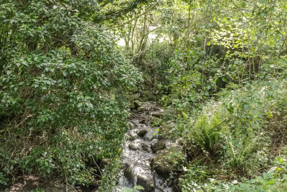 Countryside near Y Caban