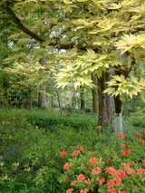 Devon for luxury country cottage holidays