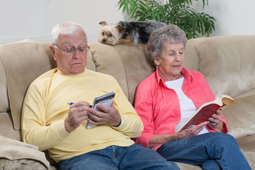 dog friendly holiday homes lake district