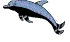 dolphin.gif (5451 bytes)