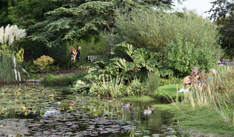 Book a holiday cottage in Essex near RHS Hyde Hall