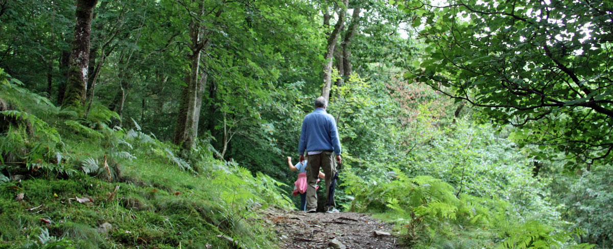 Galloway Forest Park holiday accommodation