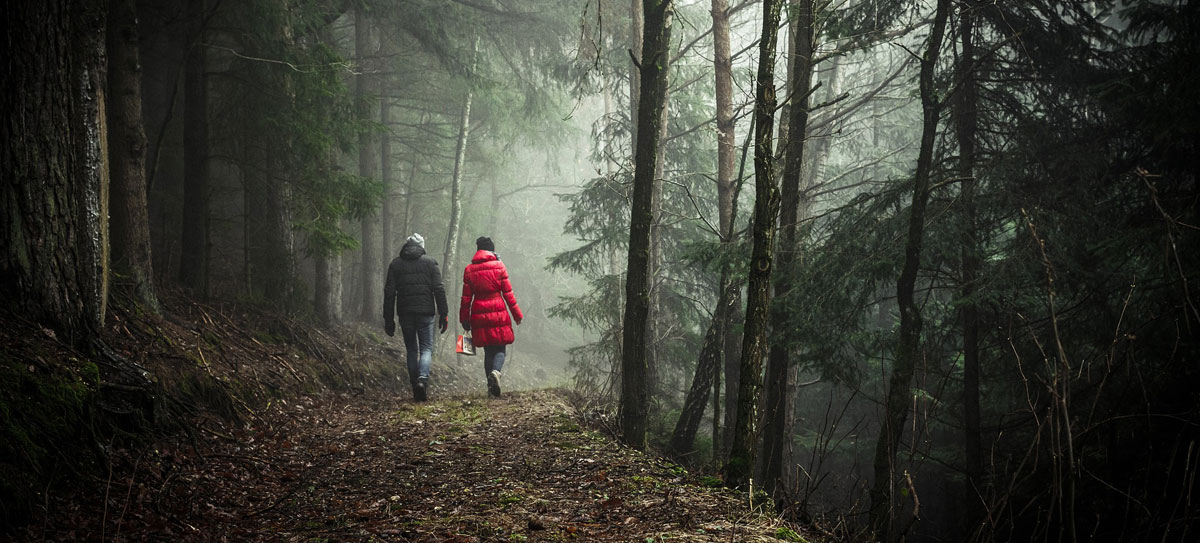 Galloway Park dorest holidays for couples