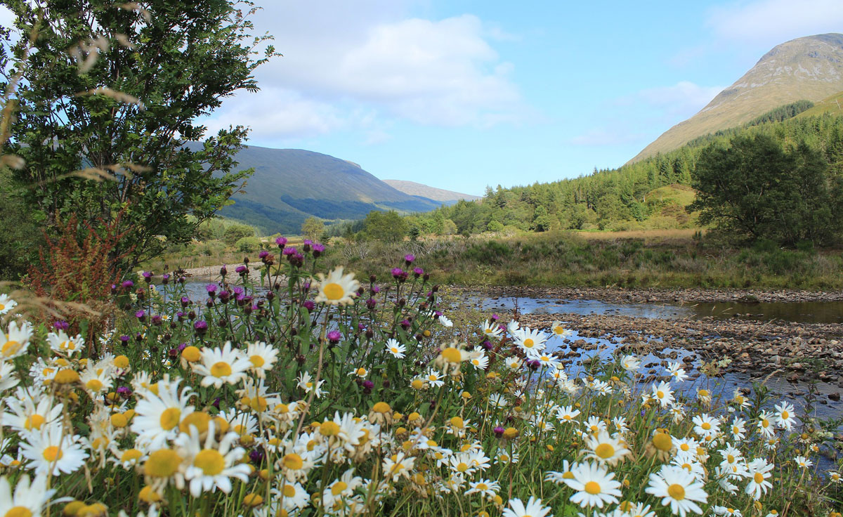 holiday cottages in Scotland July