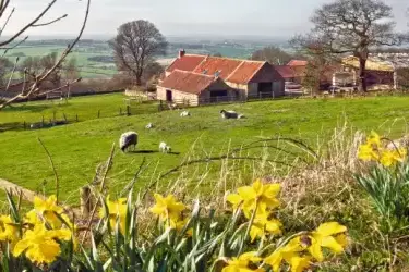 Easter Cottage Breaks UK
