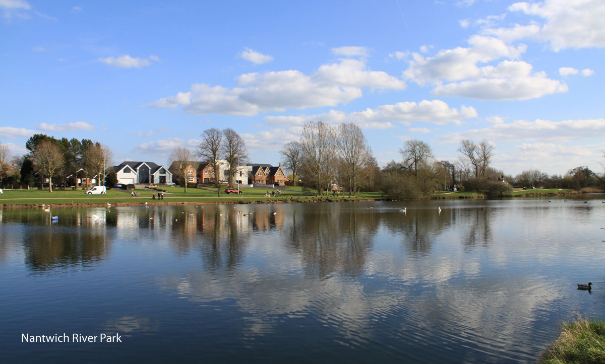 Nantwich River Park dog walking