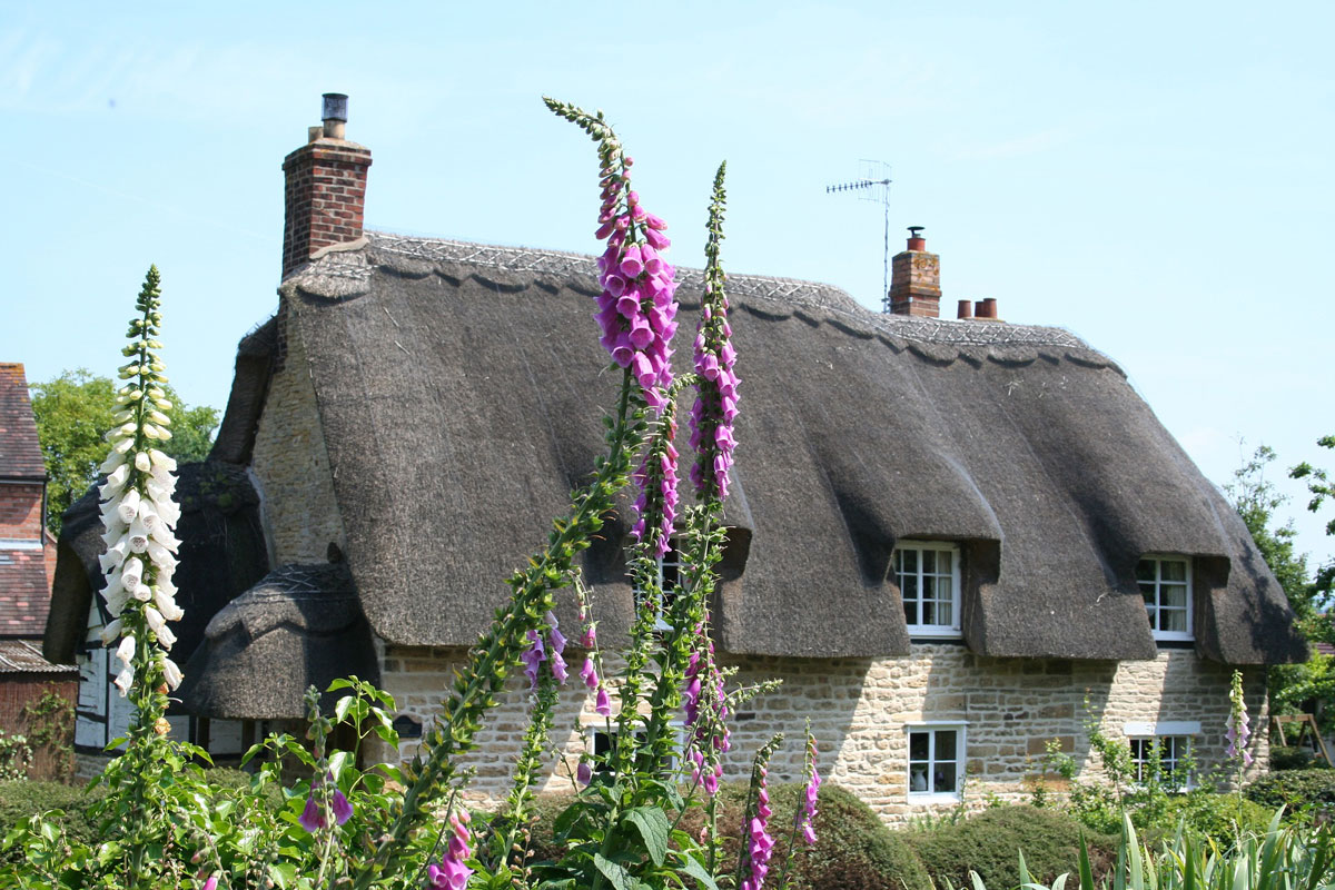 character holiday cottage