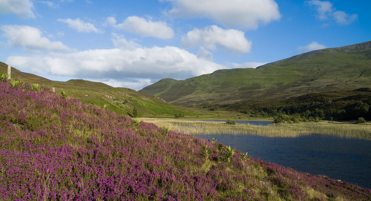 Perthshire scenery