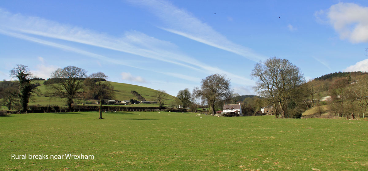 dog friendly rural breaks near Wrexham