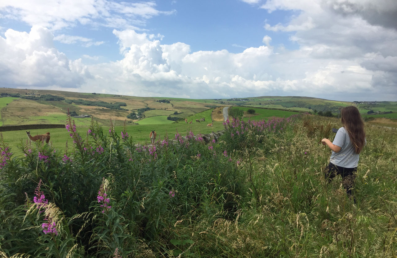 self-catering holiday cottages Peak District UK
