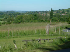 self-catering barns herefordshire