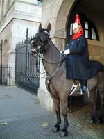 self-catering accommodation