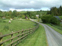 shropshire countryside