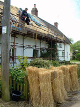 thatched cottages devon