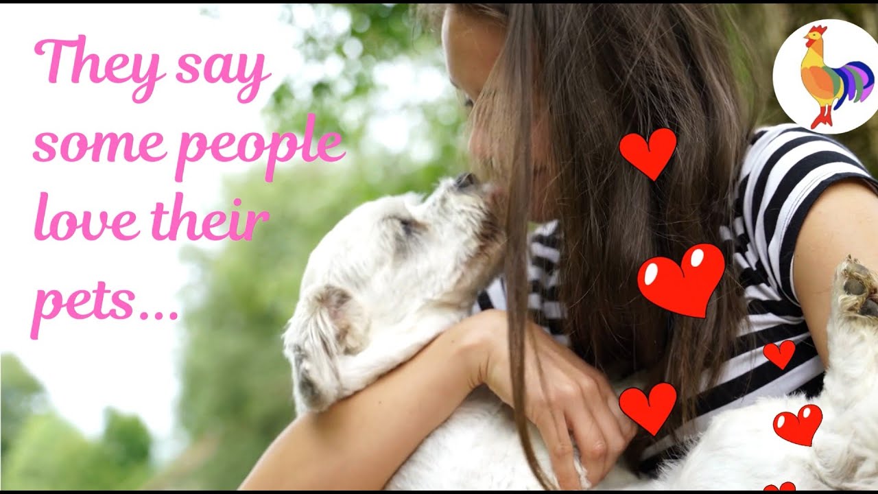 Love to holiday with your pet?