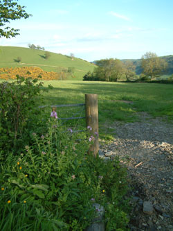 walking holidays in Wales