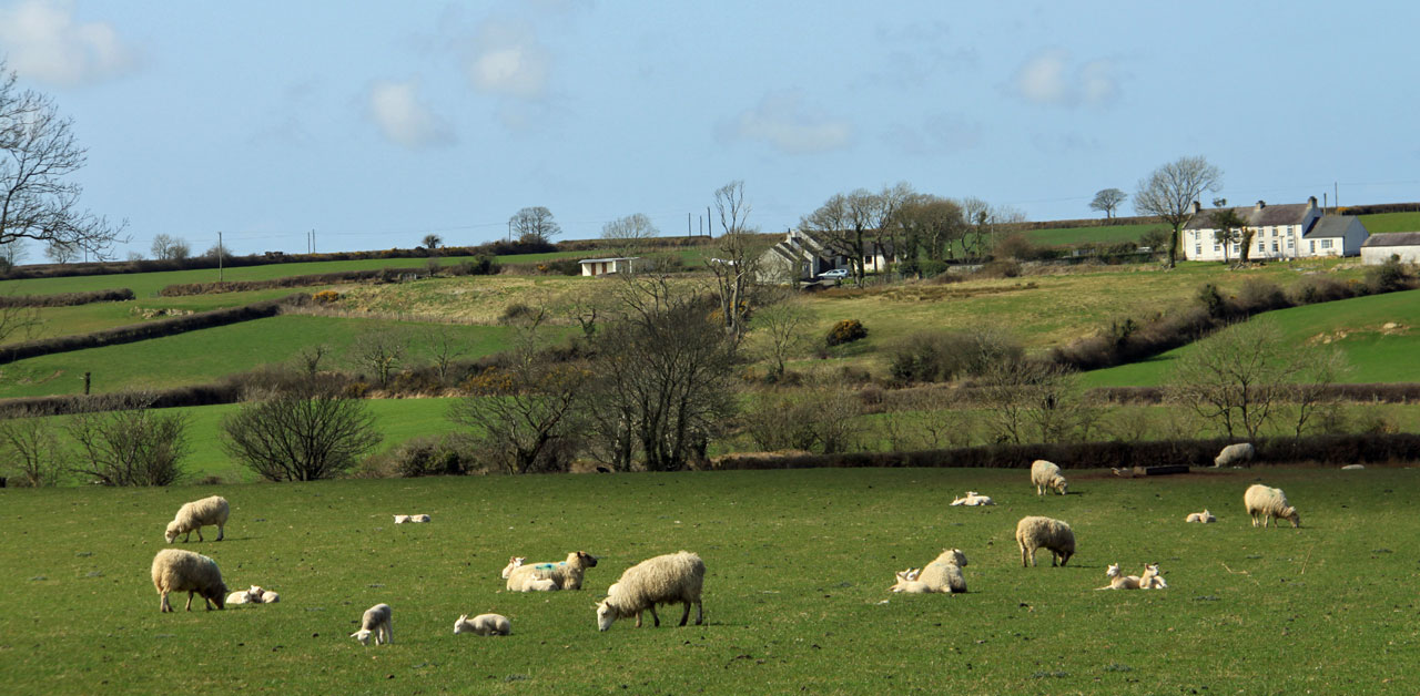 Anglesey rural cottage breaks