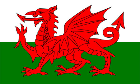 Welsh dragon holidays