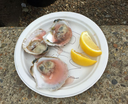 whistable holidays for oysters