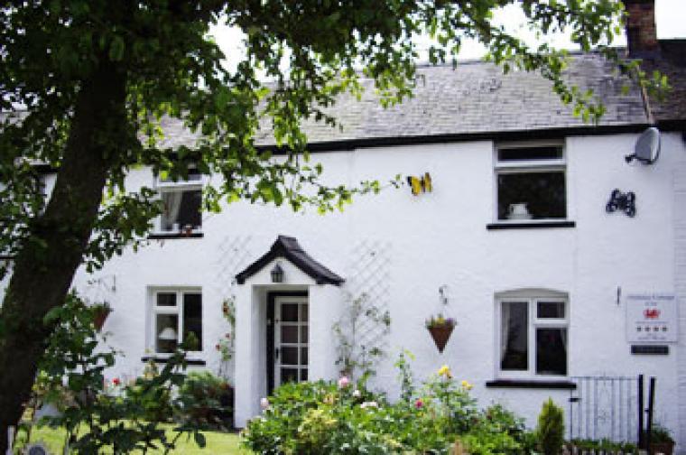 Ty Gwyn Cottage with all weather Hot tub. - Wrexham