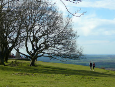 Wendover Countryside by Coombe Hill