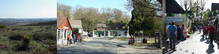 holiday cottages burley new forest england uk