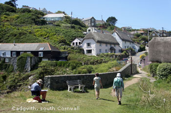 Self Catering Country Cottages In Cadgwith Cornwall England