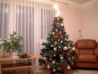 christmas selfcatering