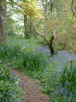 cottages Exeter self-catering holidays