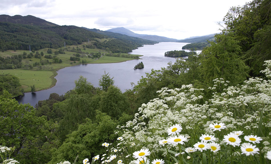 Cottages in scotland to rent during August with loch or river views