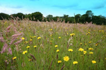 Groton countryside Suffolk