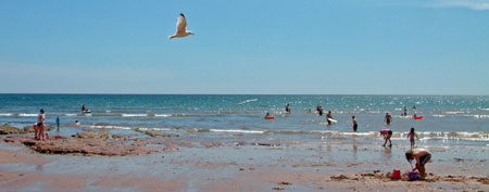 holiday home rentals in Devon