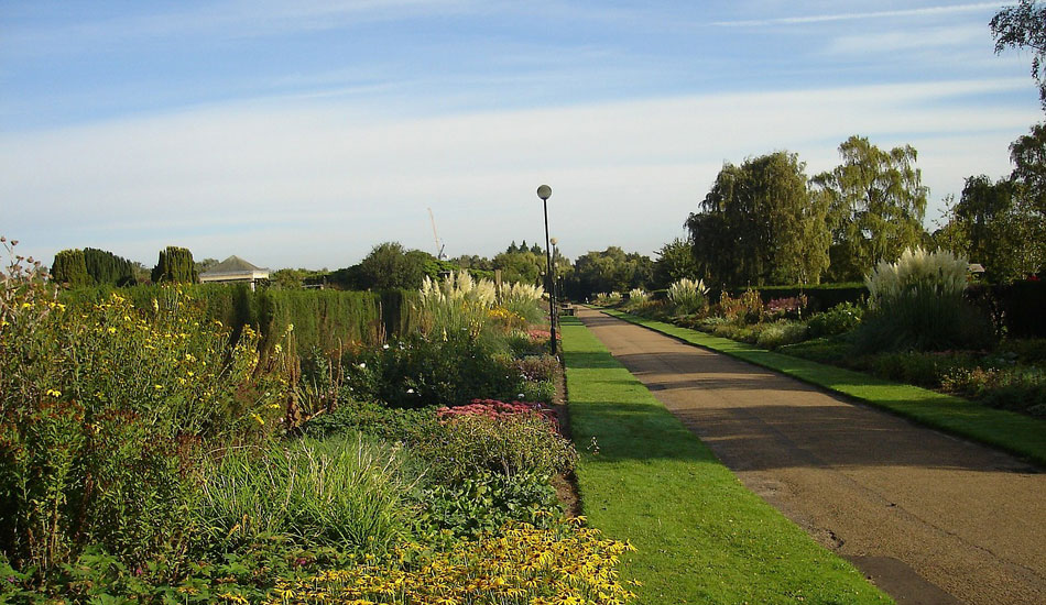 Dogs allowed Norwich holiday