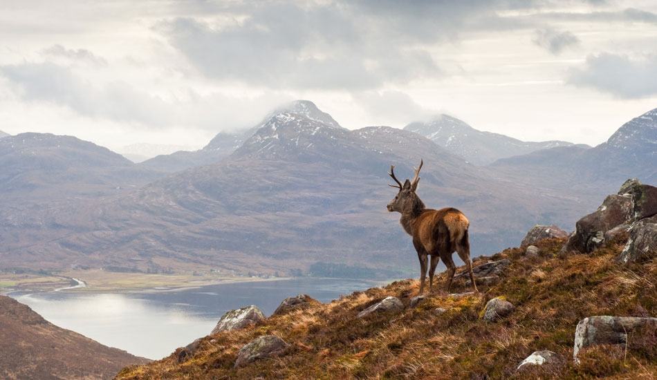 Scottish Highlands in August