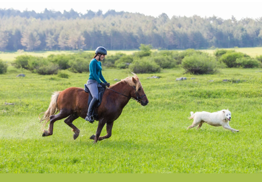 holiday cottages with horse riding