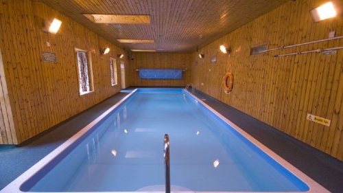 Log cabin pool