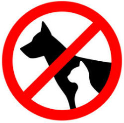 Pet-Free Holiday Cottages in the UK | No-Pets Allowed Cottages in the UK