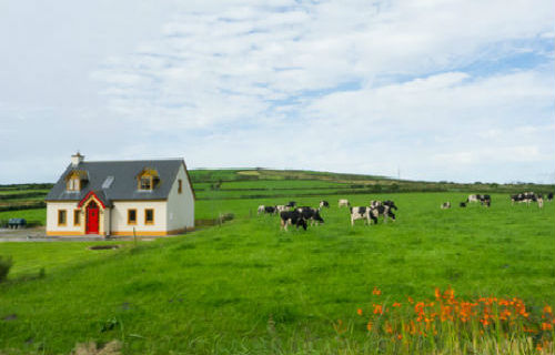 Self Catering Rural Retreats Country Cottages Online