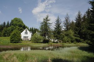 Secluded Country Cottage in Scotland