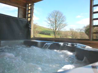 Powys Log Cabin with Hot Tub