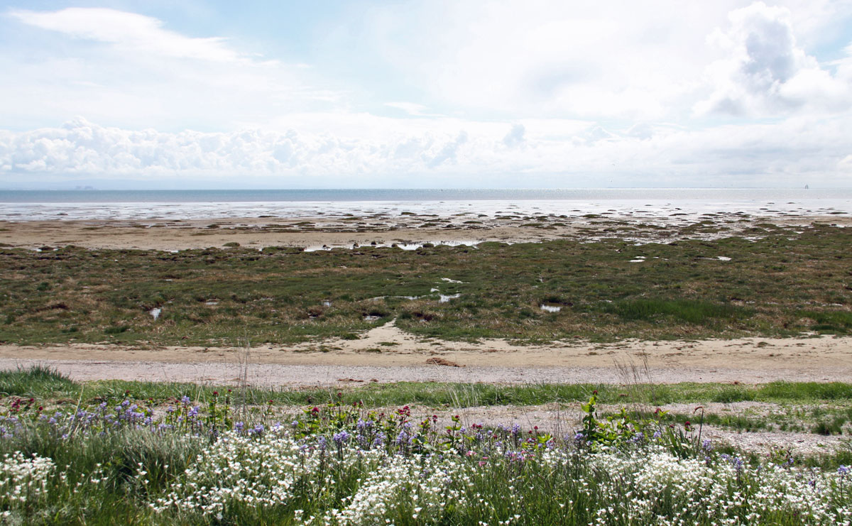 holiday cottages coastal cumbria dog friendly
