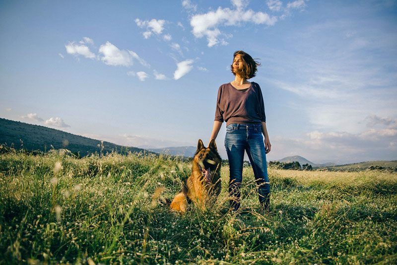 cottages in exmoor dogs allowed